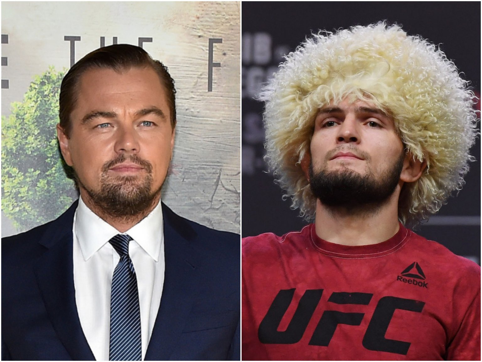 ufc, ufc 229, khabib nurmagomedov, leonardo dicarprio