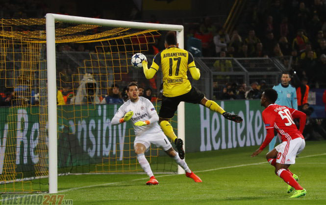 Kết quả Dortmund 4-0 Benfica, tỉ số Dortmund 4-0 Benfica, Dortmund vào tứ kết, Benfica bị loại, Dortmund vào tứ kết cúp C1