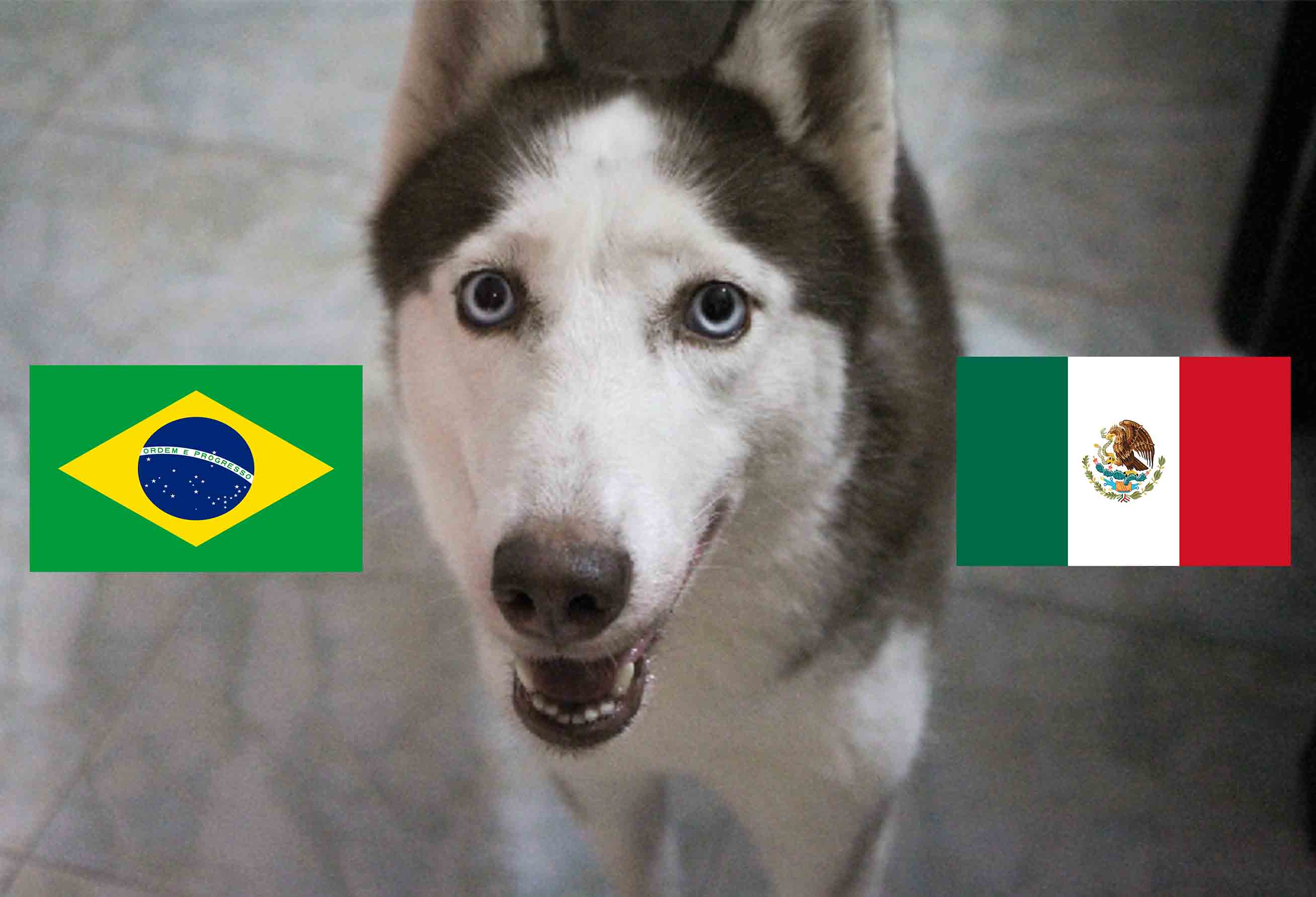 cho tien tri Loki du doan ket qua Brazil vs Mexico