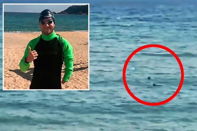 kình ngư khuyết tật, kình ngư cụt tay, VĐV bị cá mập cắn, cá mập tấn công VĐV