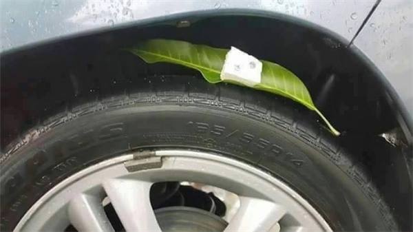 Lốp xe ô tô bị cán đinh ẩn dưới chiếc lá