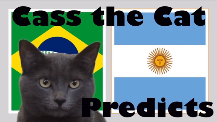 Dự đoán Brazil vs Argentina, soi kèo Brazil vs Argentina, nhận định Brazil vs Argentina, mèo tiên tri, Brazil, Argentina, mèo tiên tri Brazil vs Argentina