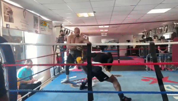 'Mike Tyson nước Anh' tung đòn knock-out khiến bạn tập bất tỉnh