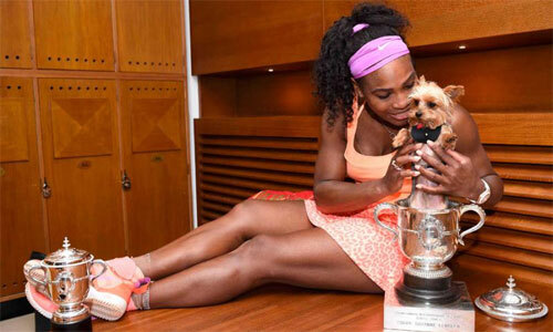 Serena Williams, Grand Slam, quần vợt, tennis