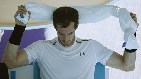 Andy Murray, úc mở rộng, Australia mở rộng, Novak Djokovic, Australia Open 2017, Úc mở rộng 2017